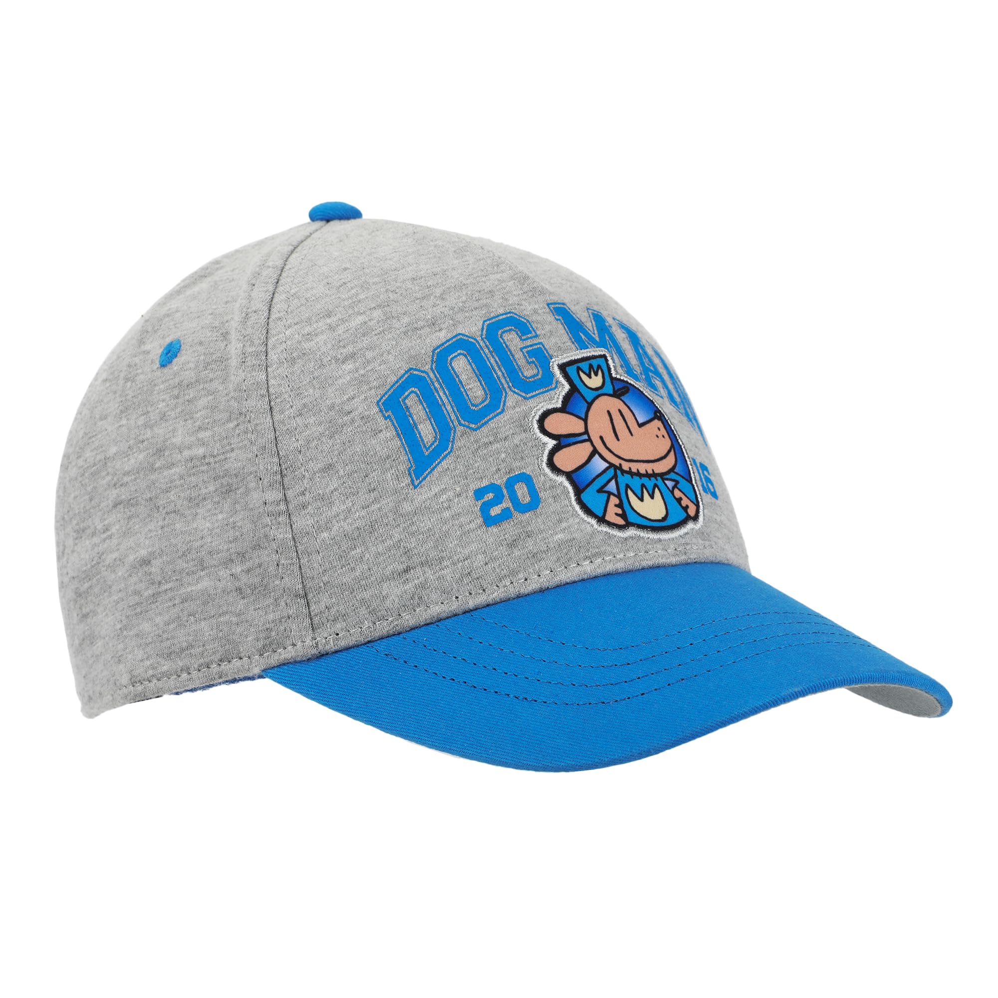 Bioworld Dog Man 2016 Character Circle Youth Gray & Blue Snapback Hat - Image 3